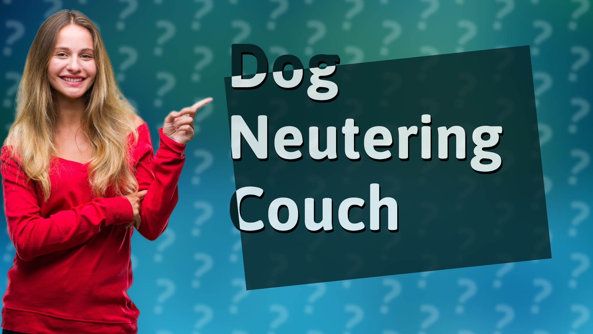 Dog Neutering Couch