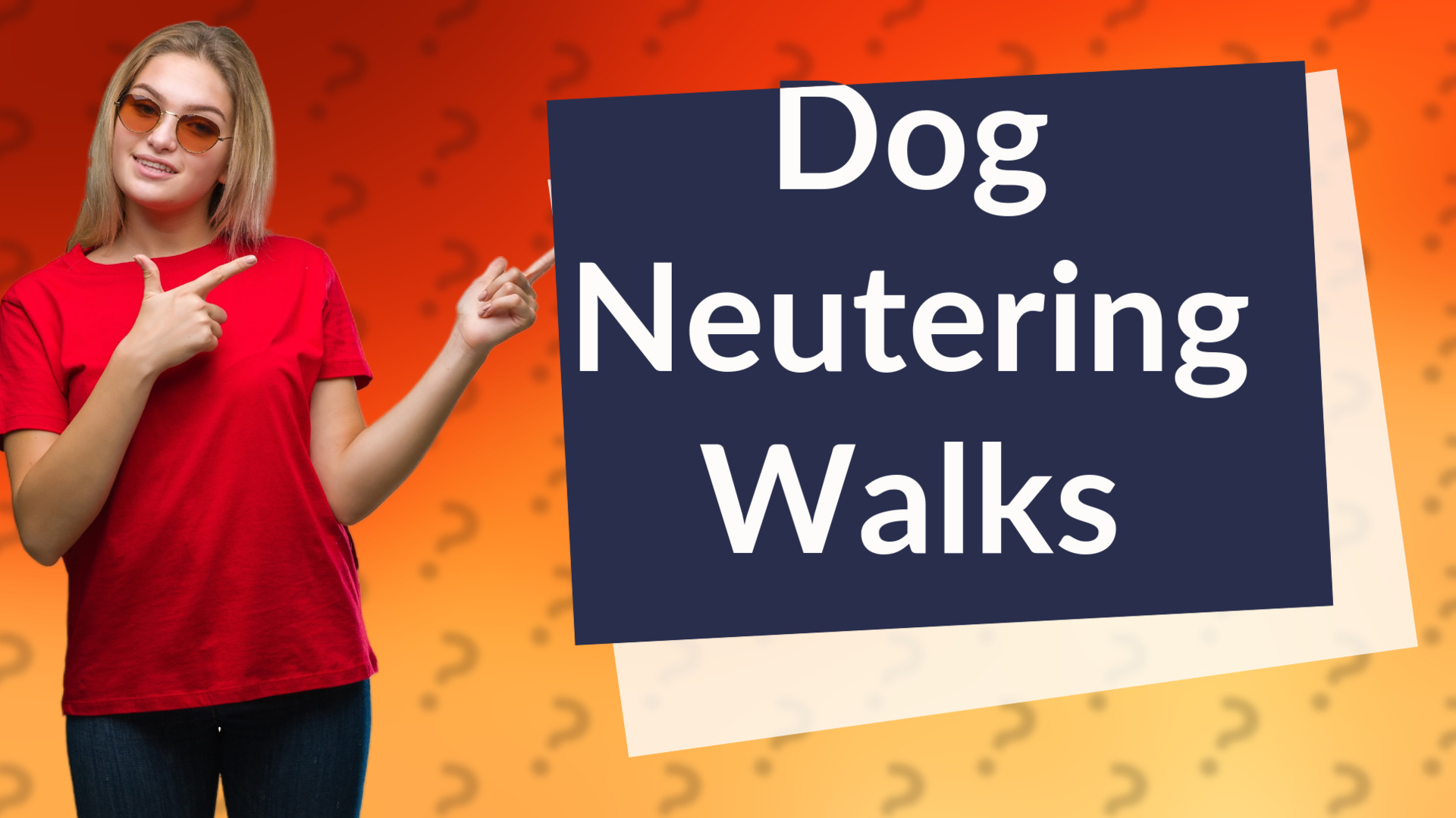Dog Neutering Walks
