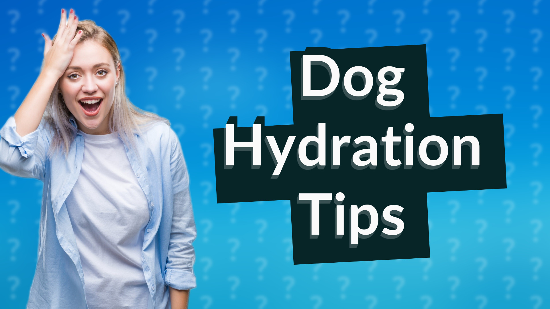 Dog Hydration Tips
