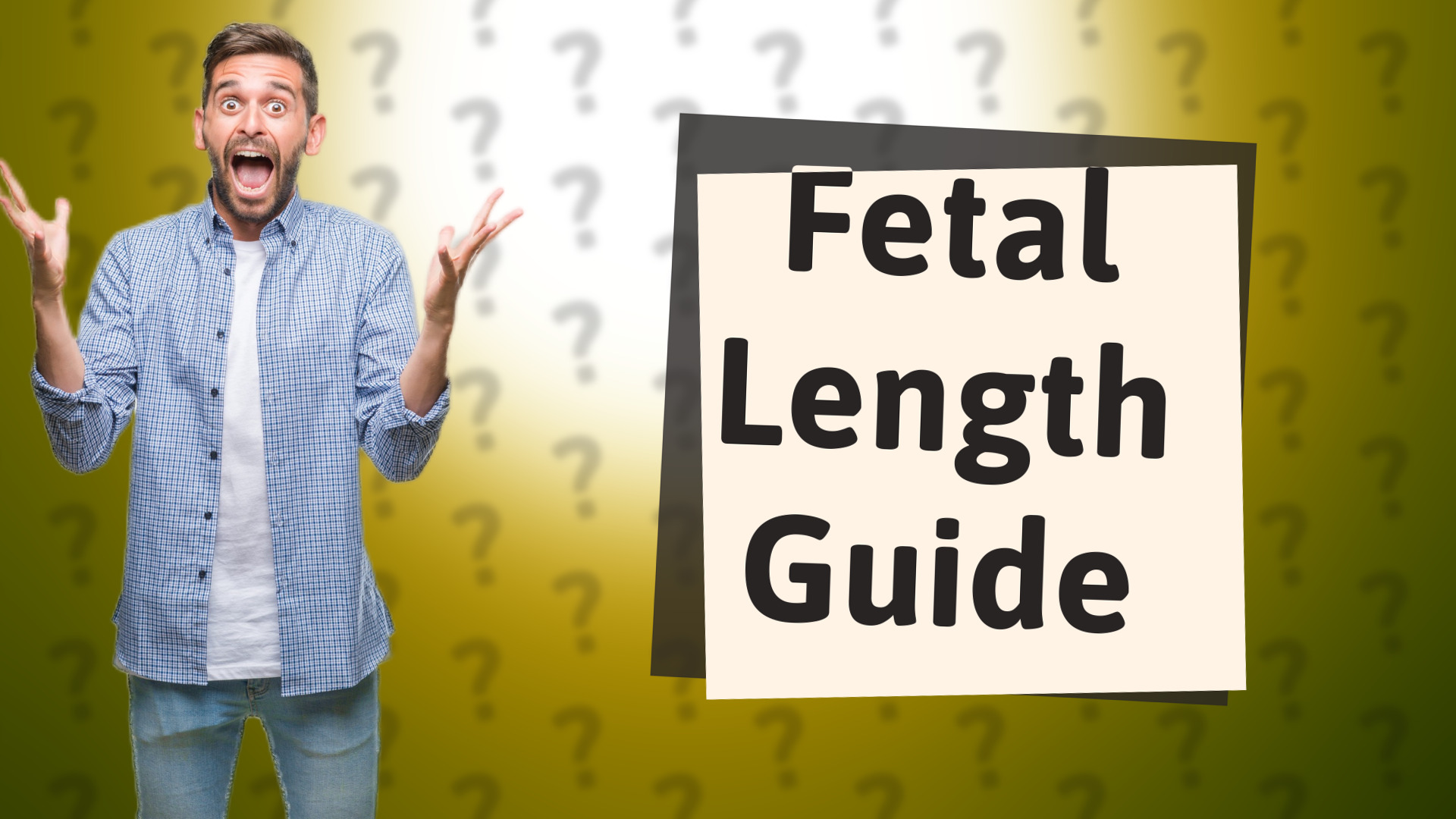 Fetal Length Guide
