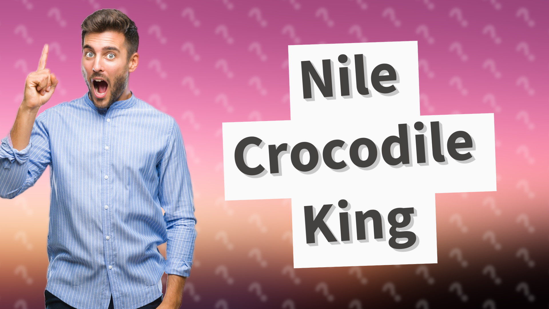Nile Crocodile King