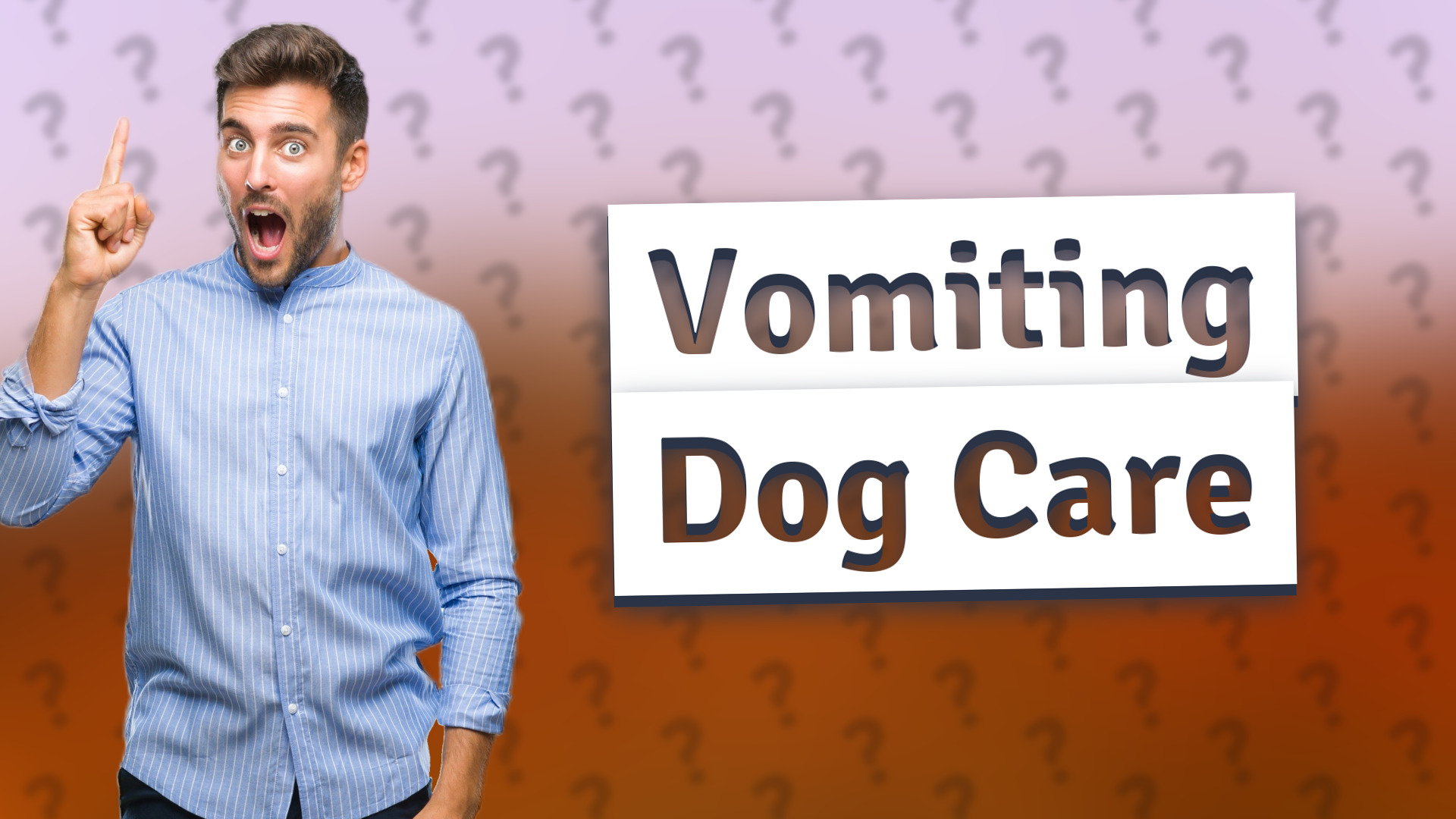 Vomiting Dog Care