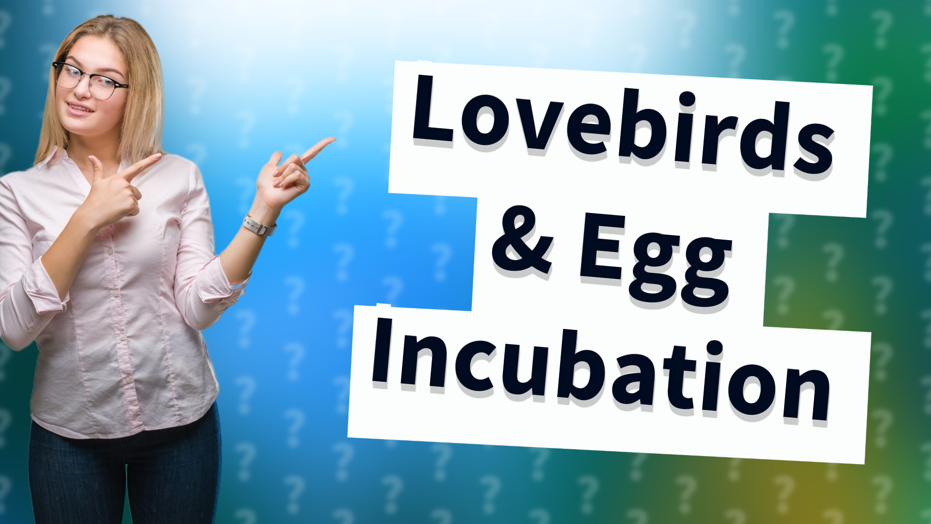 Lovebirds & Egg Incubation