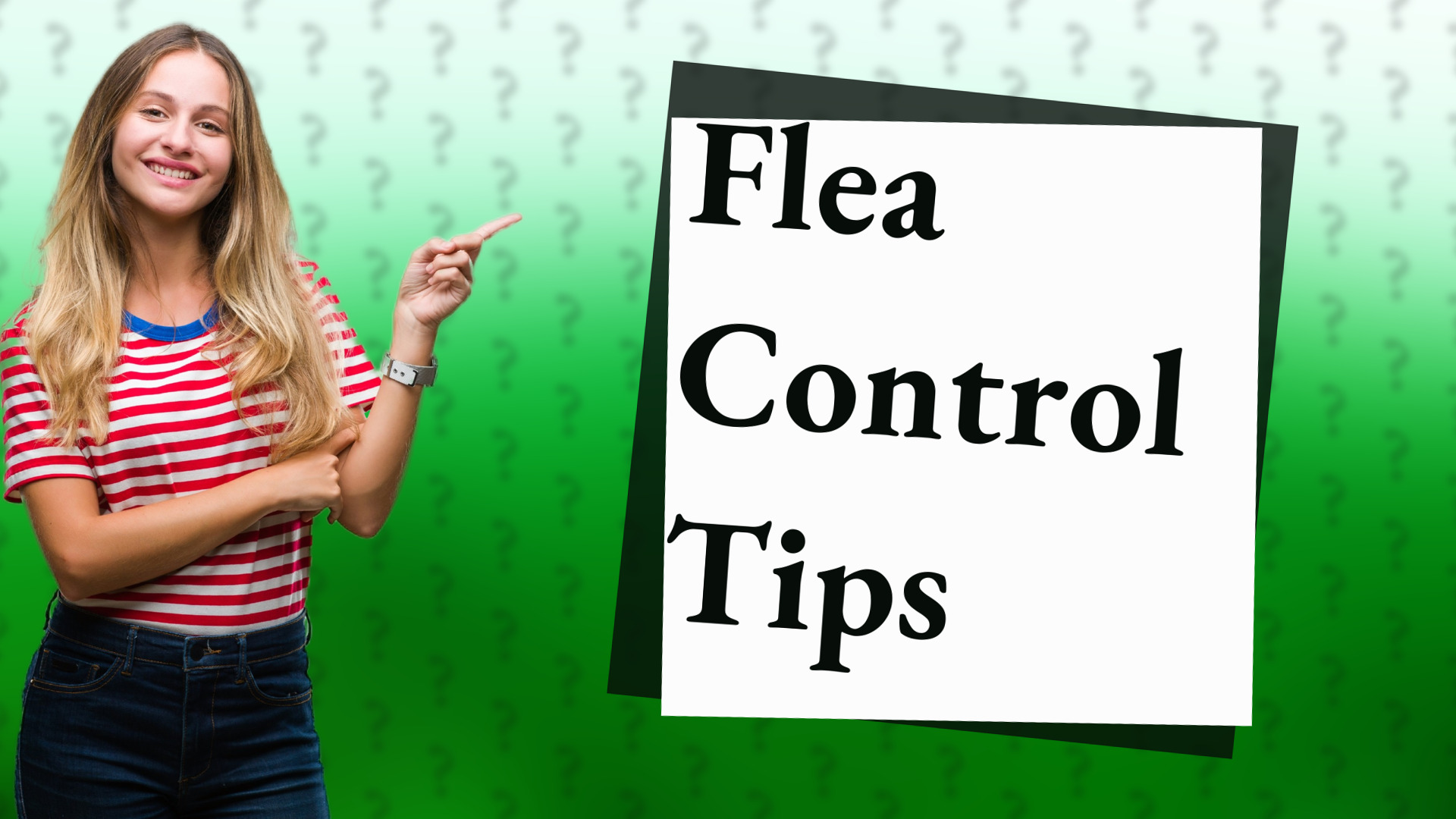 Flea Control Tips