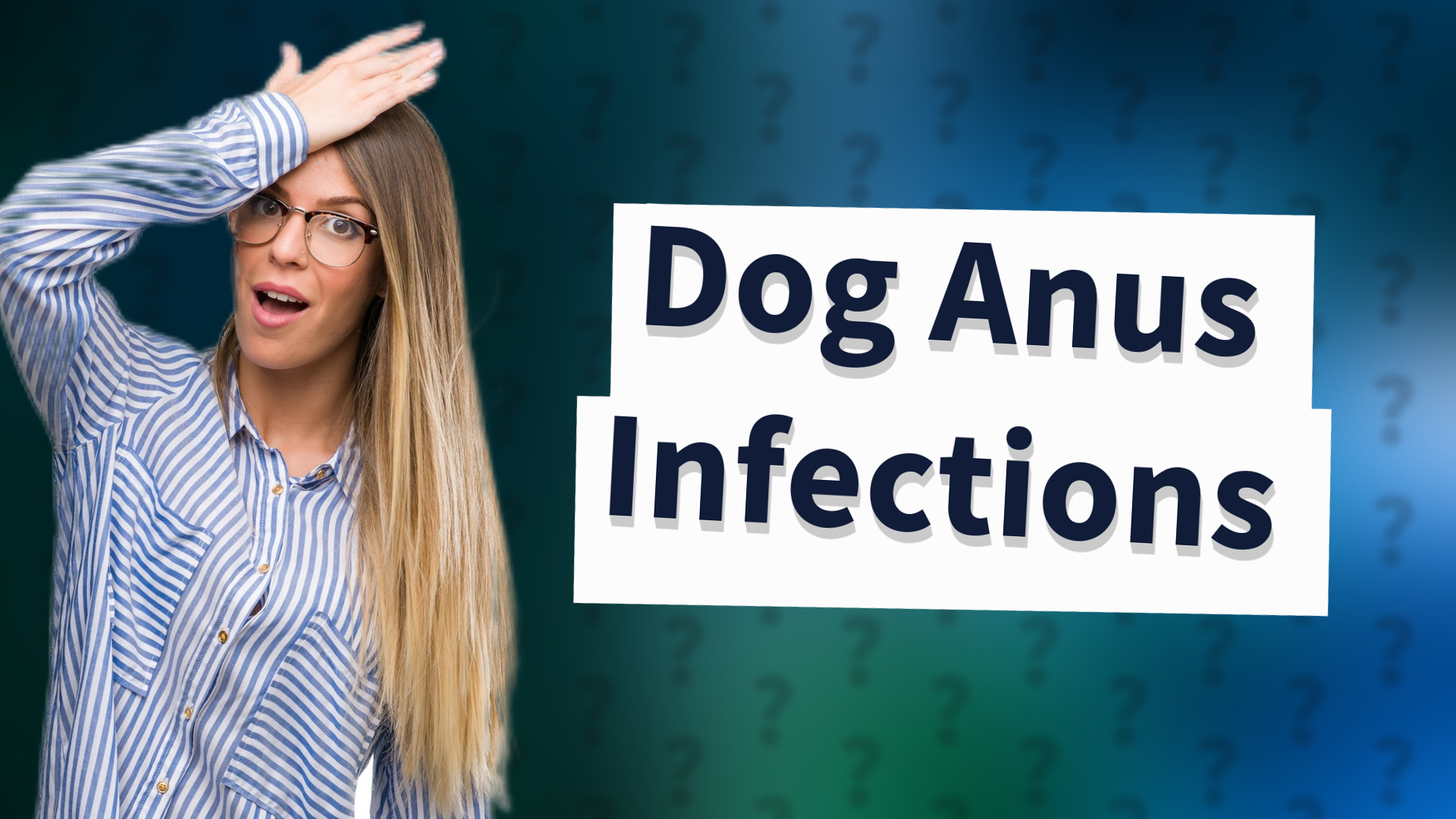 Dog Anus Infections
