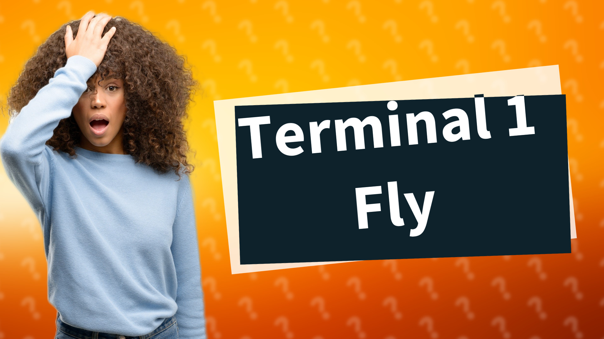 Terminal 1 Fly