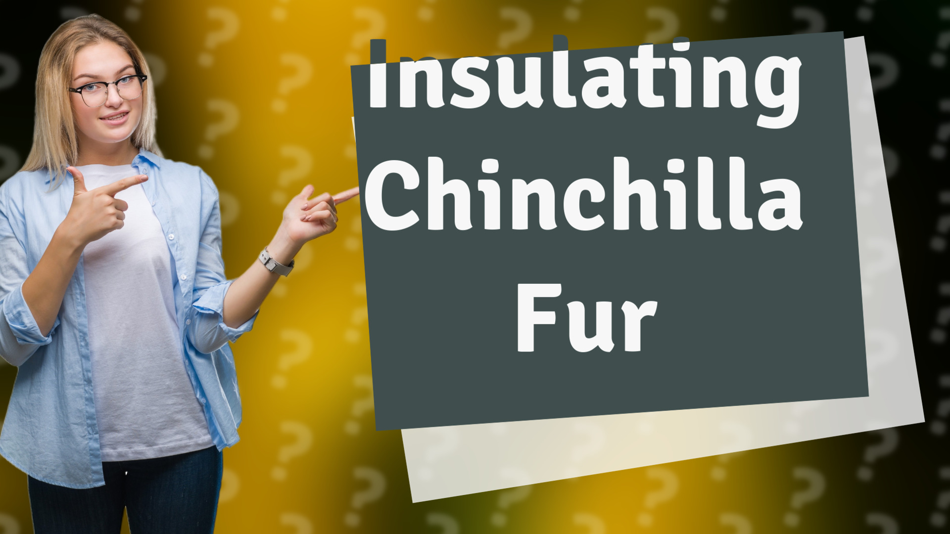 Insulating Chinchilla Fur
