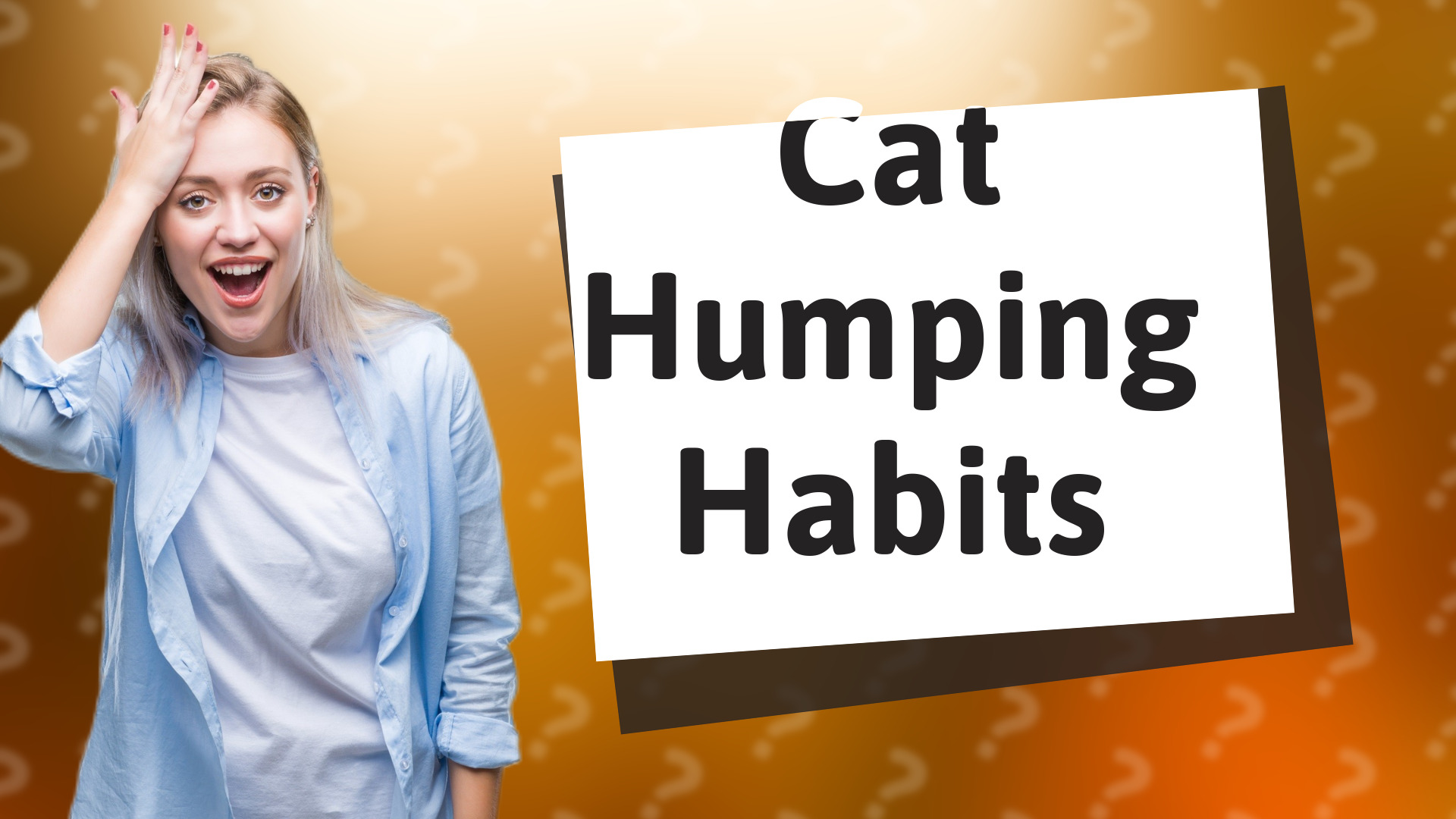 Cat Humping Habits