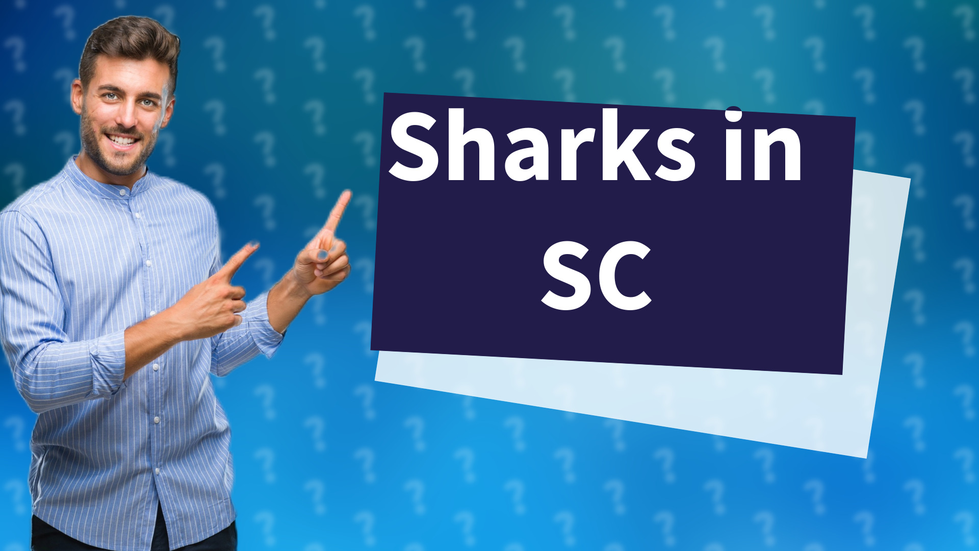Sharks in SC