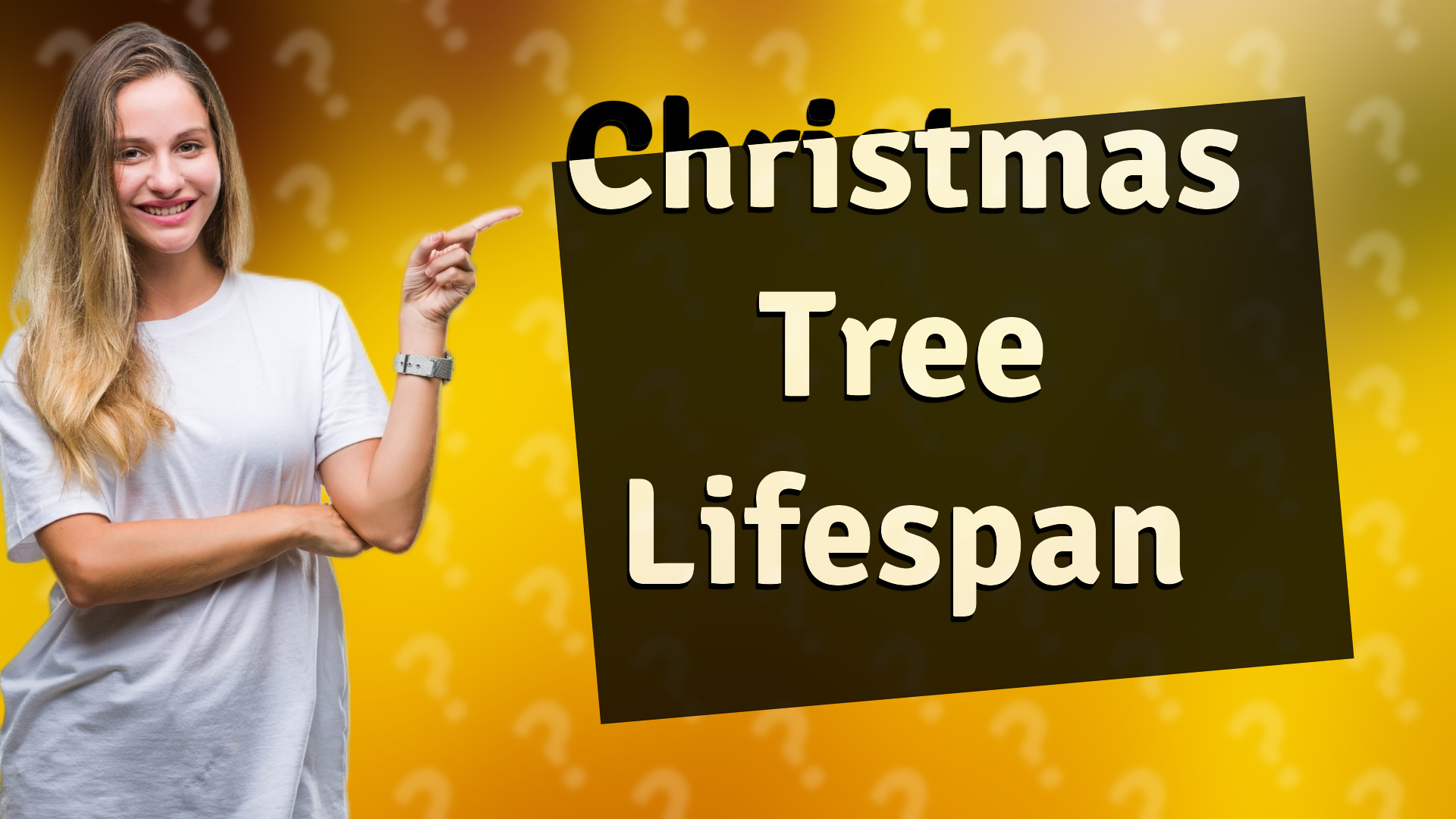 Christmas Tree Lifespan
