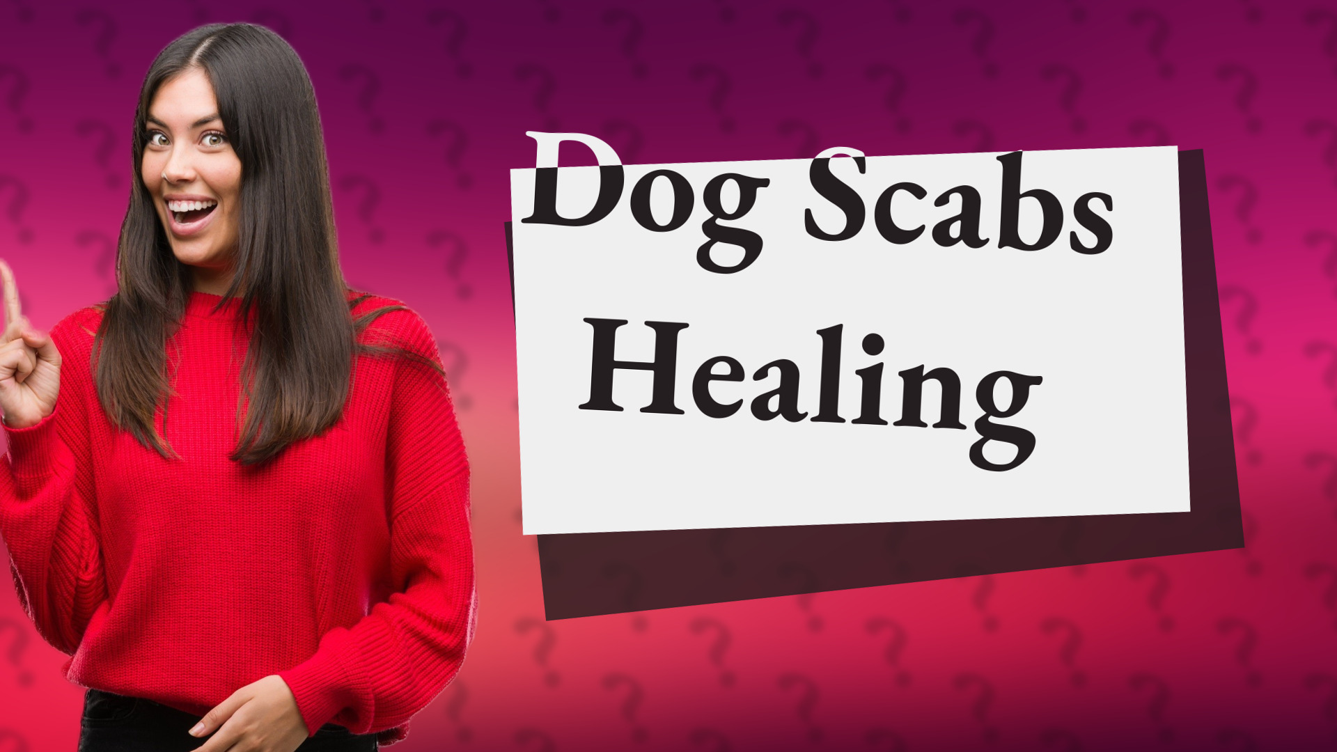 Dog Scabs Healing