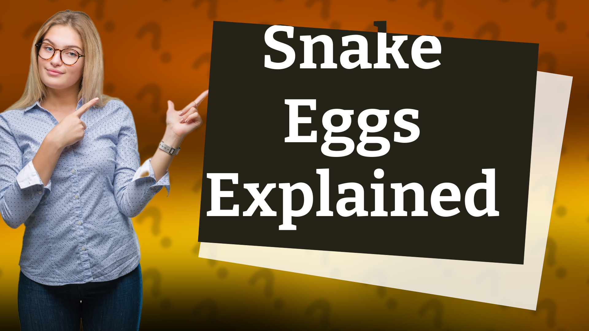 Snake Eggs Explained