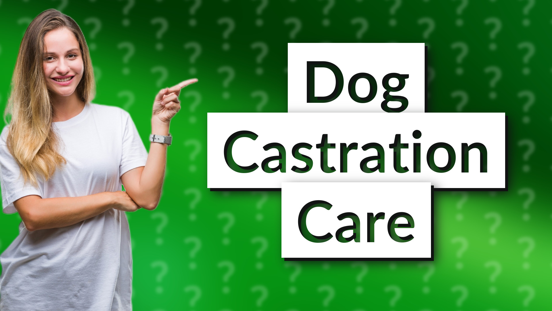 Dog Castration Care