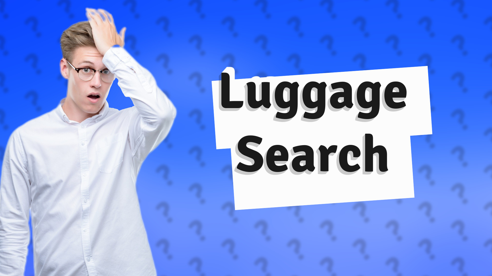 Luggage Search