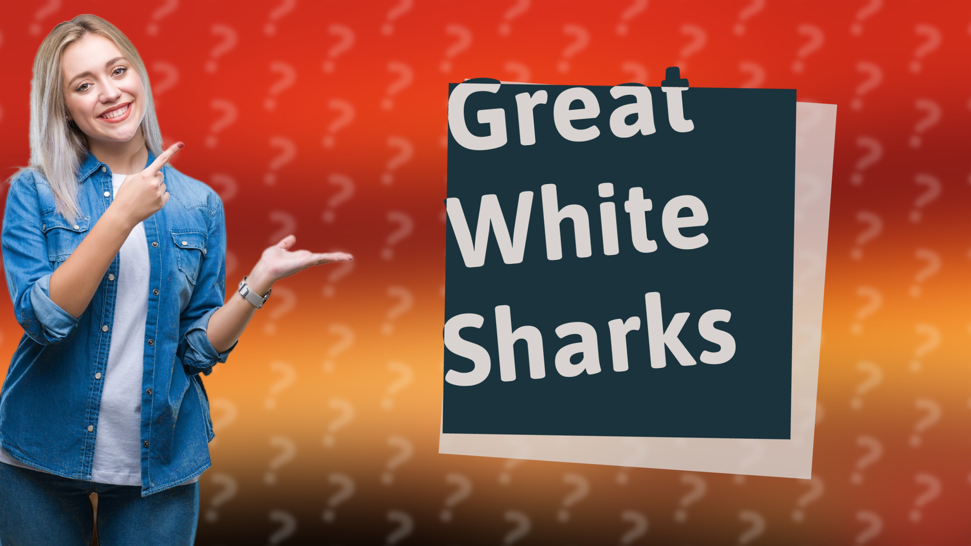 Great White Sharks