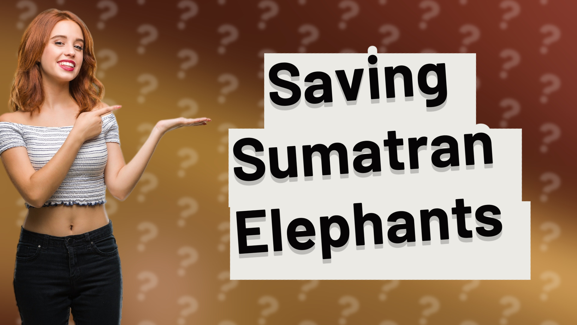 Saving Sumatran Elephants