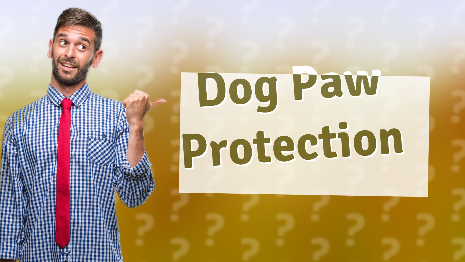 Dog Paw Protection