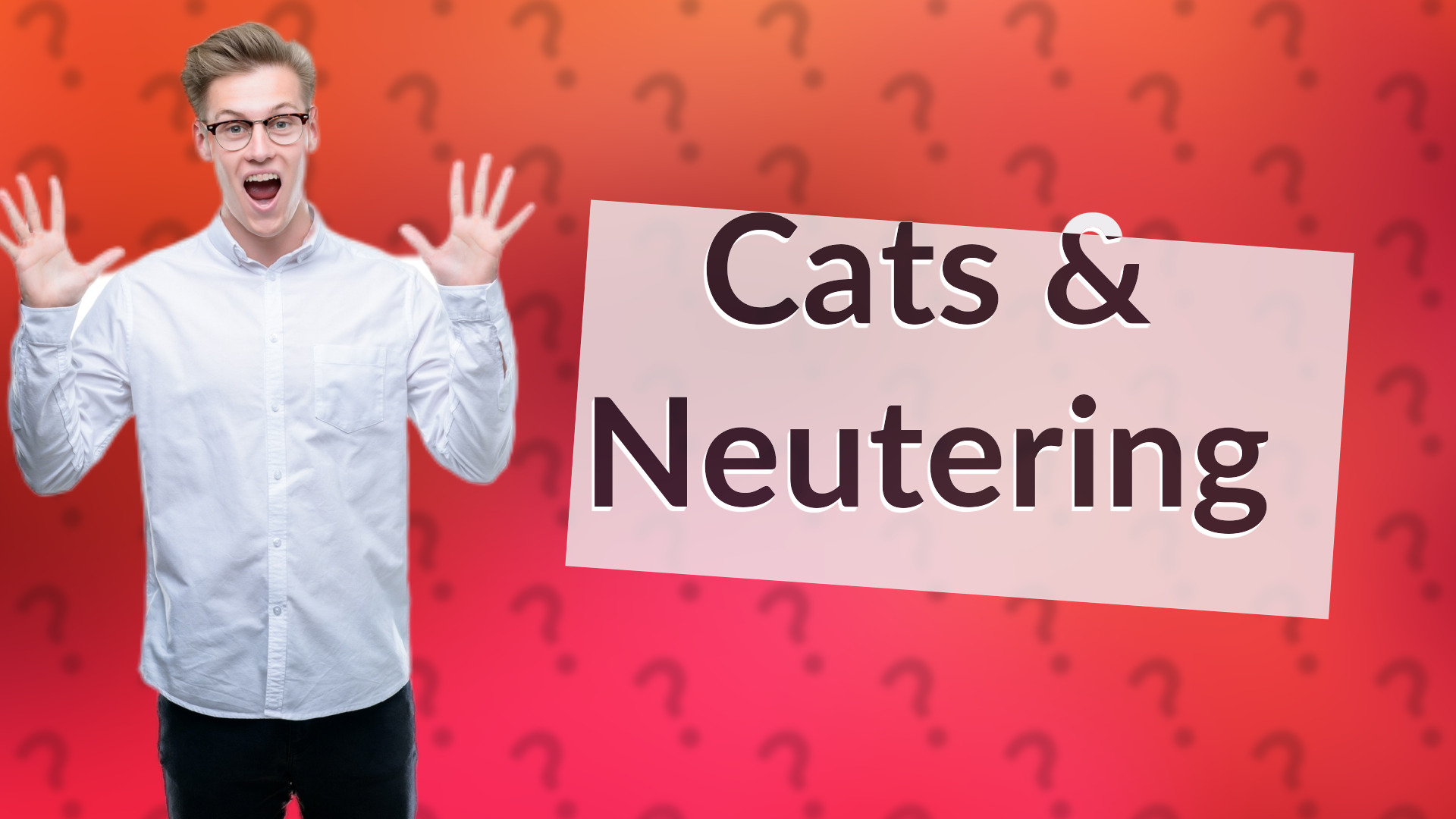 Cats & Neutering