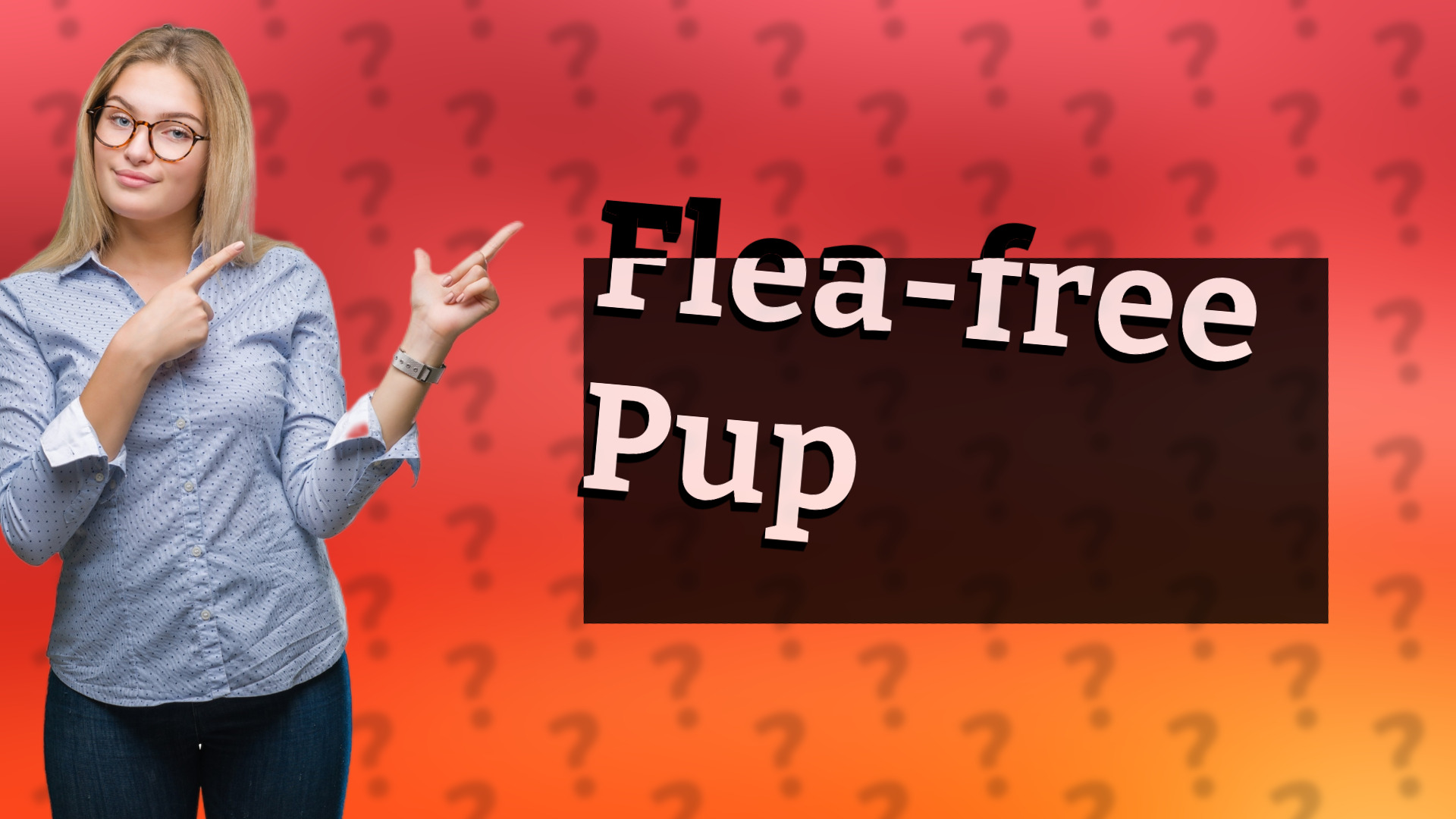 Flea-free Pup