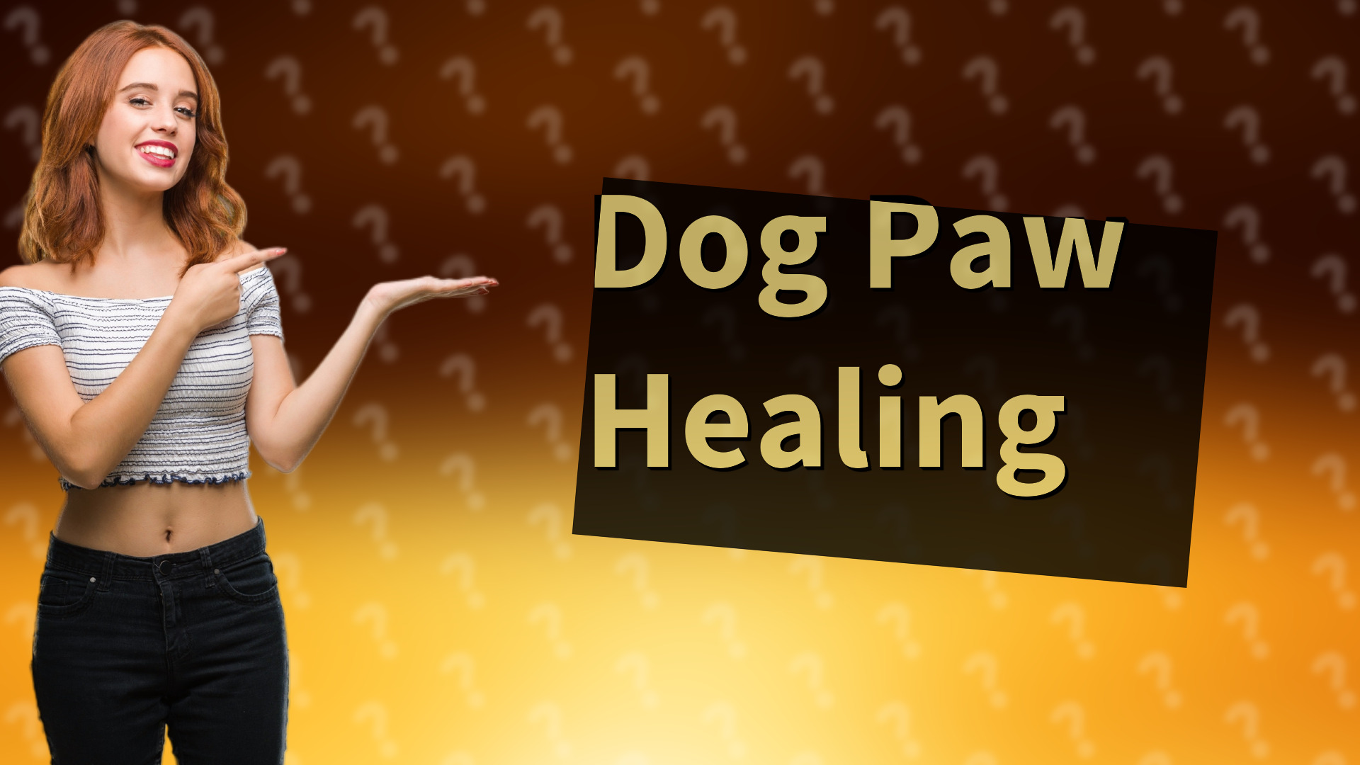 Dog Paw Healing