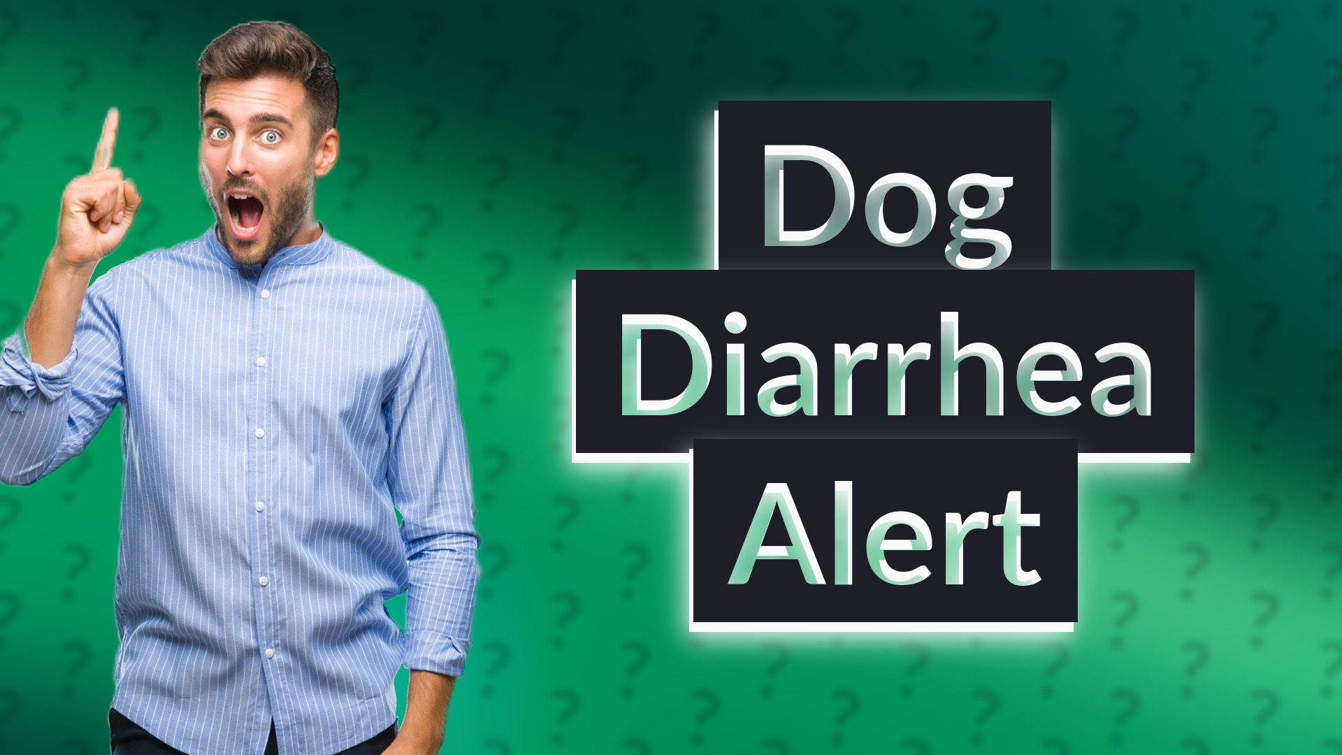 Dog Diarrhea Alert