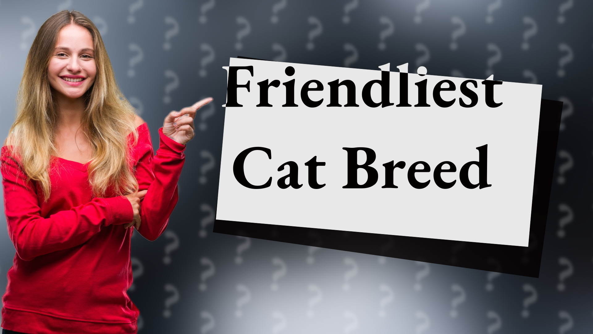 Friendliest Cat Breed