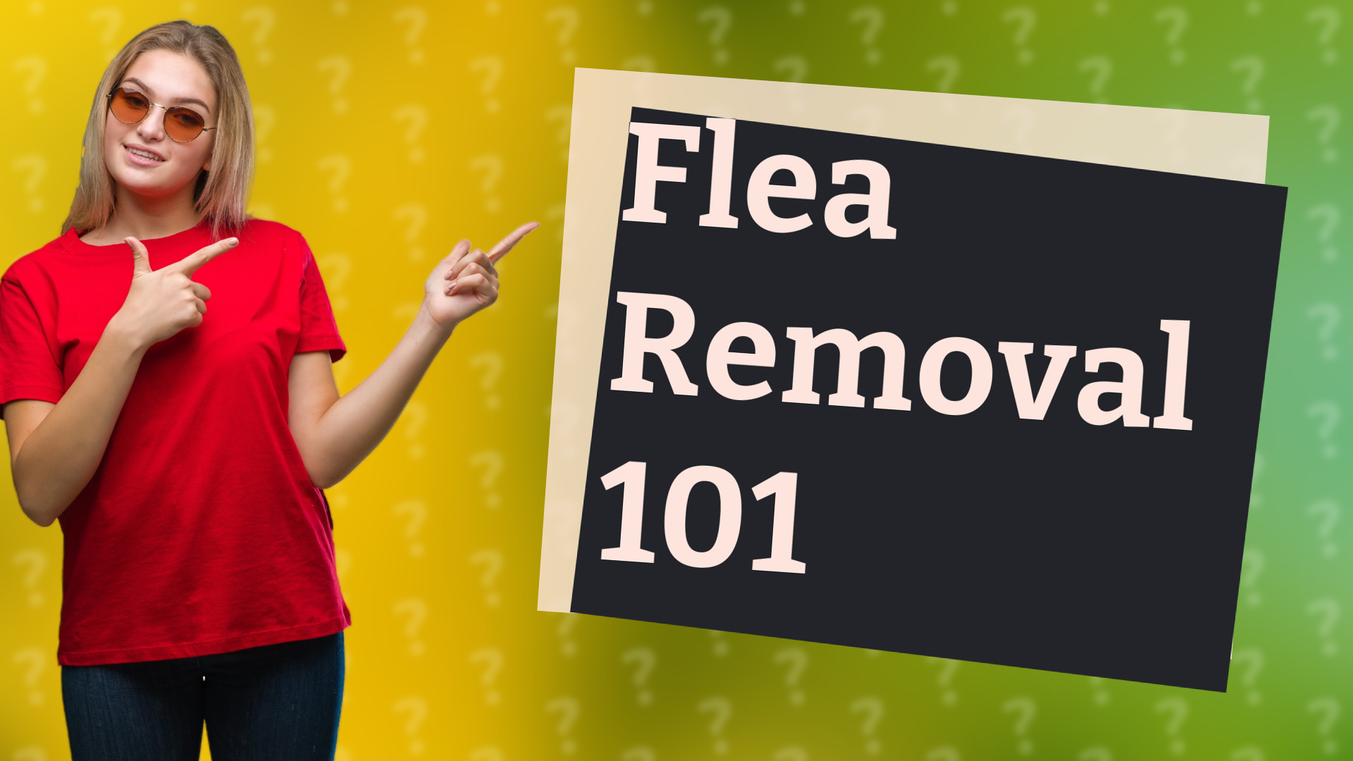 Flea Removal 101