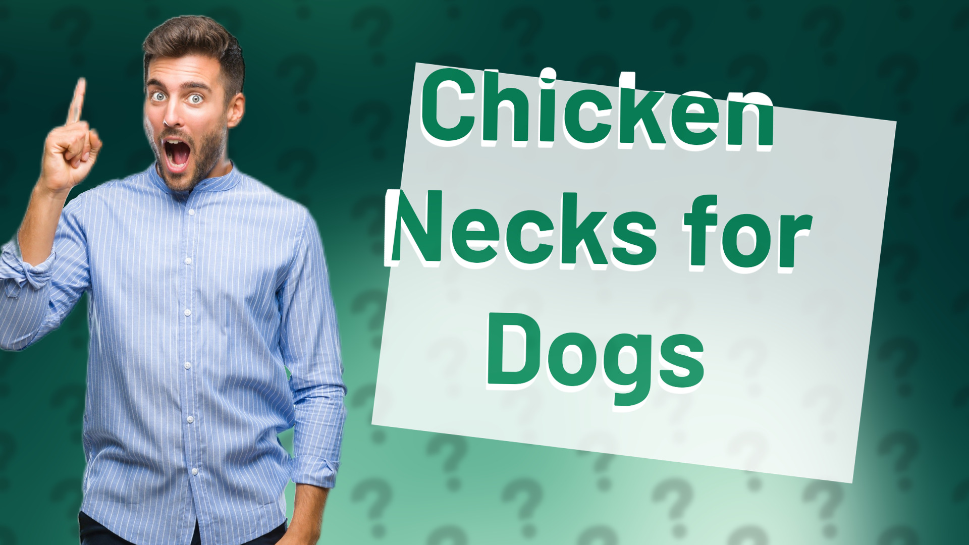 Chicken Necks for Dogs