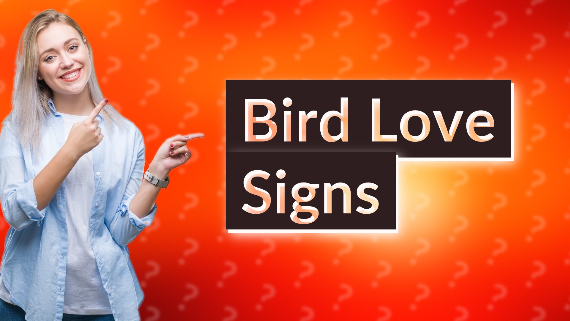 Bird Love Signs