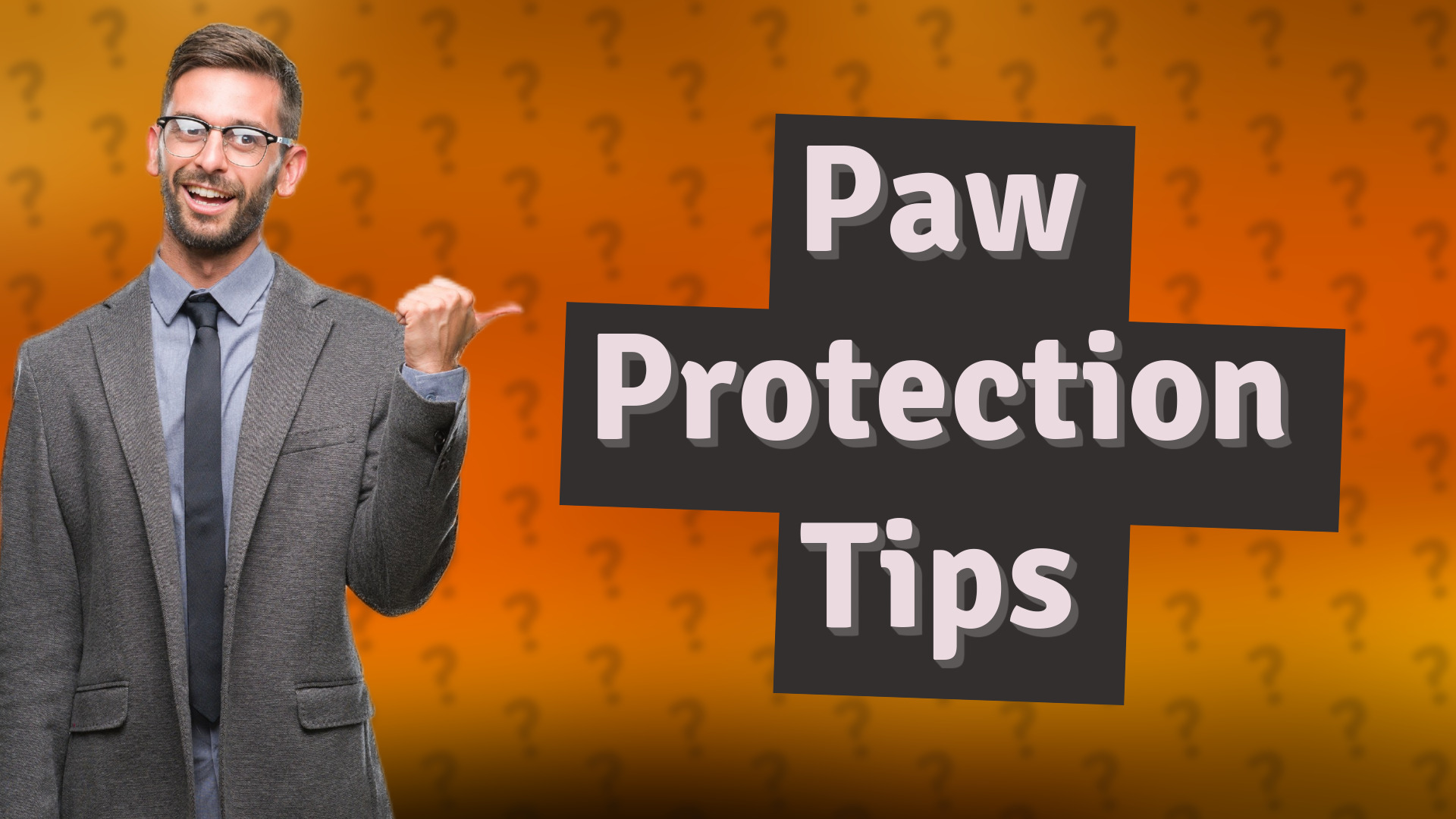 Paw Protection Tips