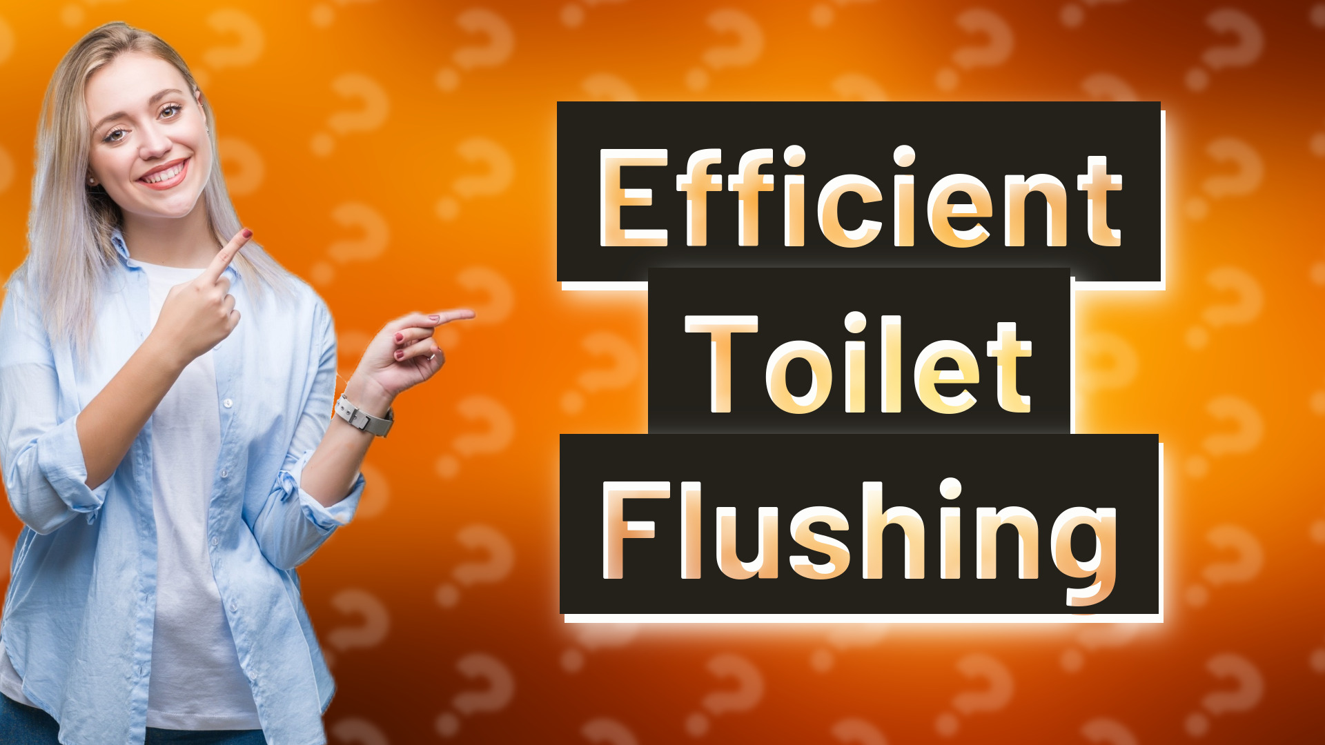 Efficient Toilet Flushing