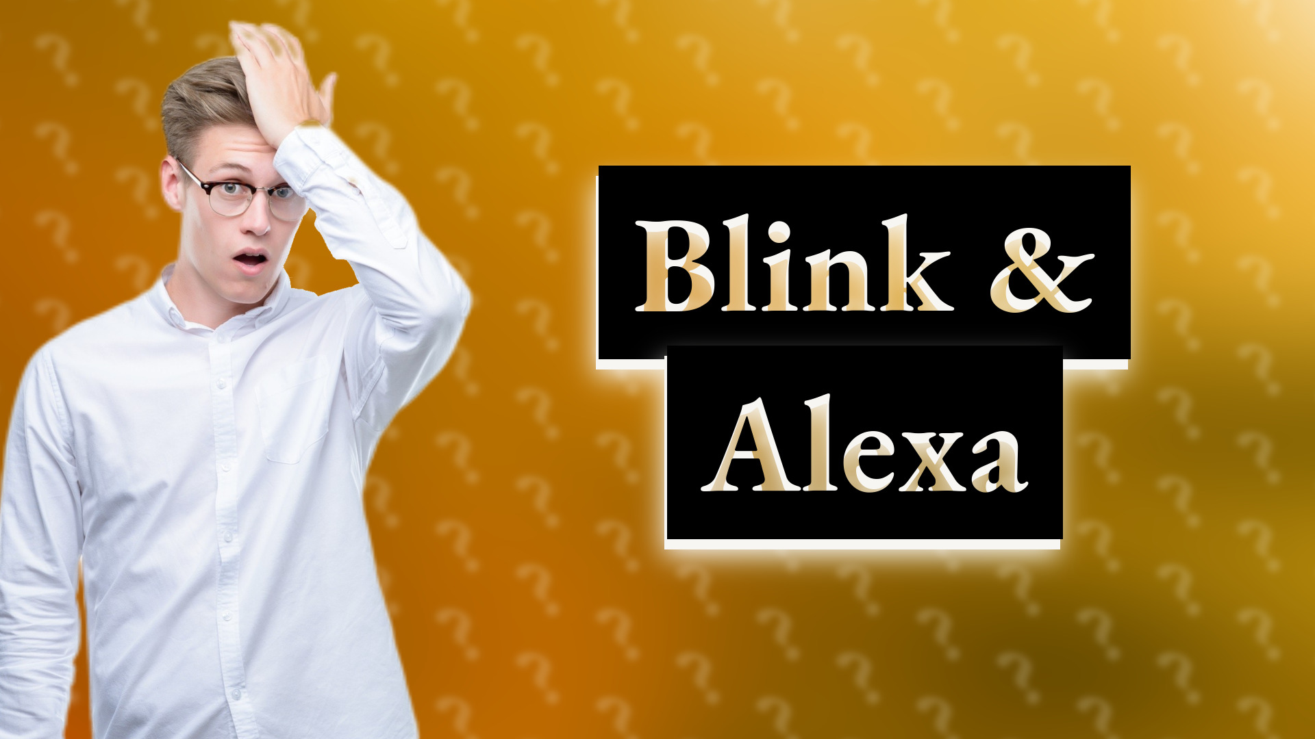 Blink & Alexa