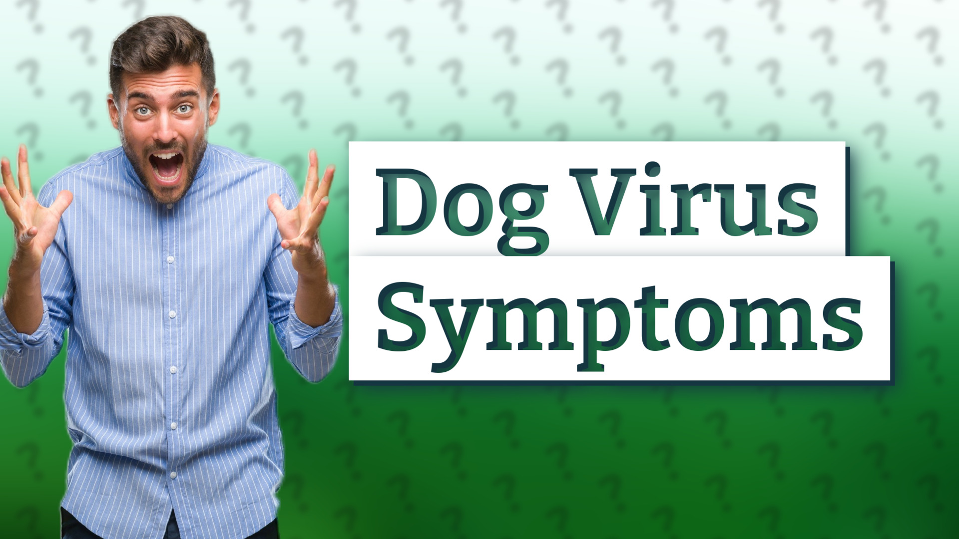 Dog Virus Symptoms