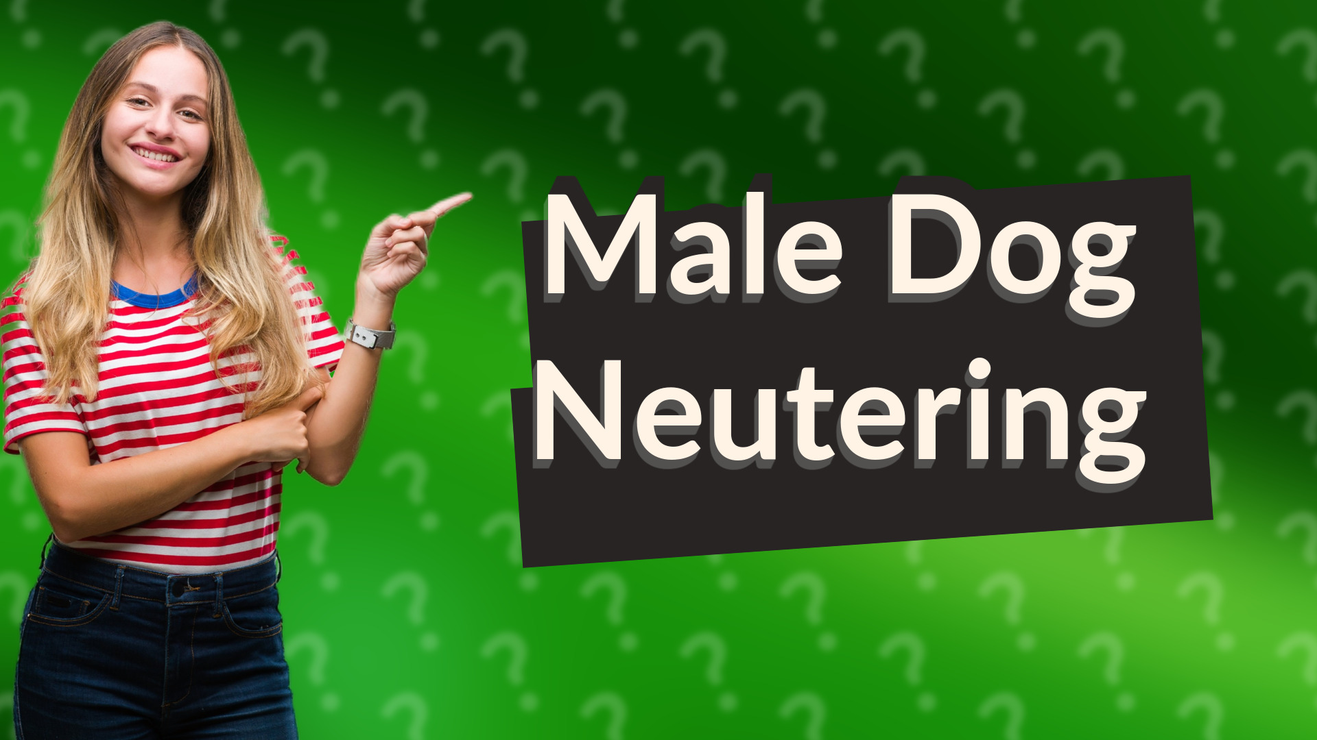 Male Dog Neutering