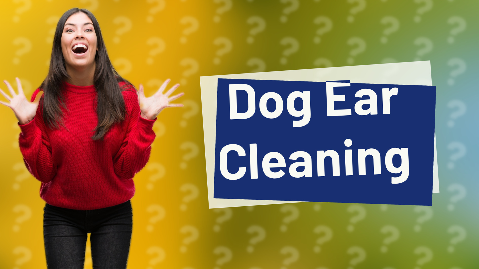 Dog Ear Cleaning