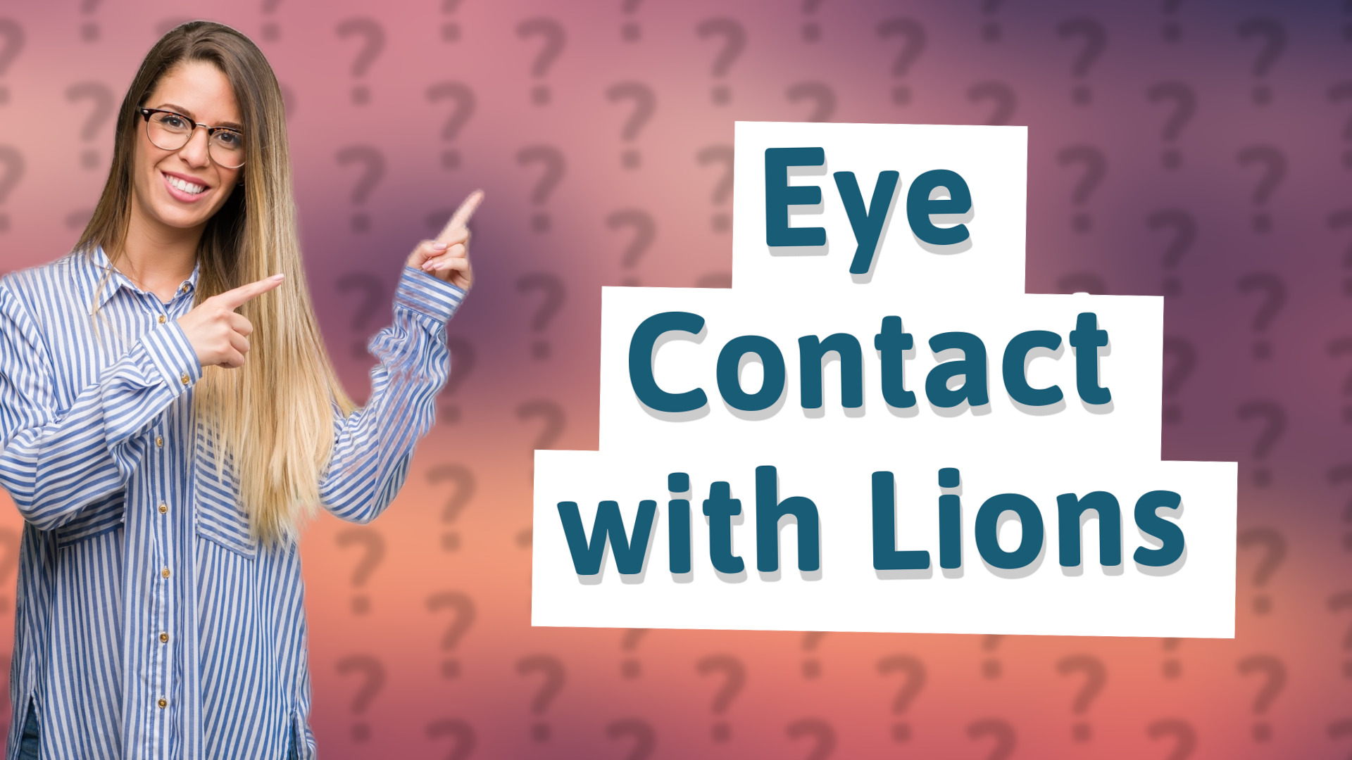 Eye Contact with Lions