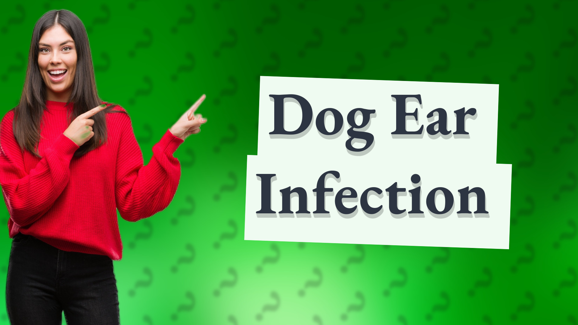 Dog Ear Infection