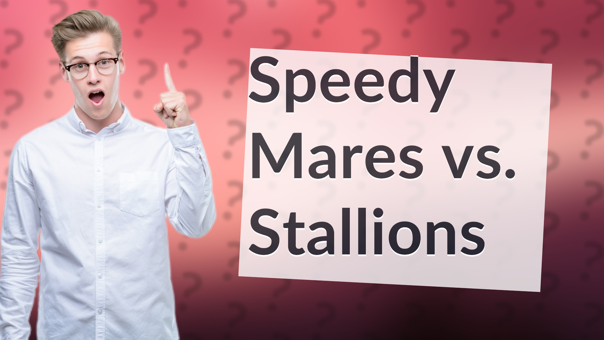 Speedy Mares vs. Stallions