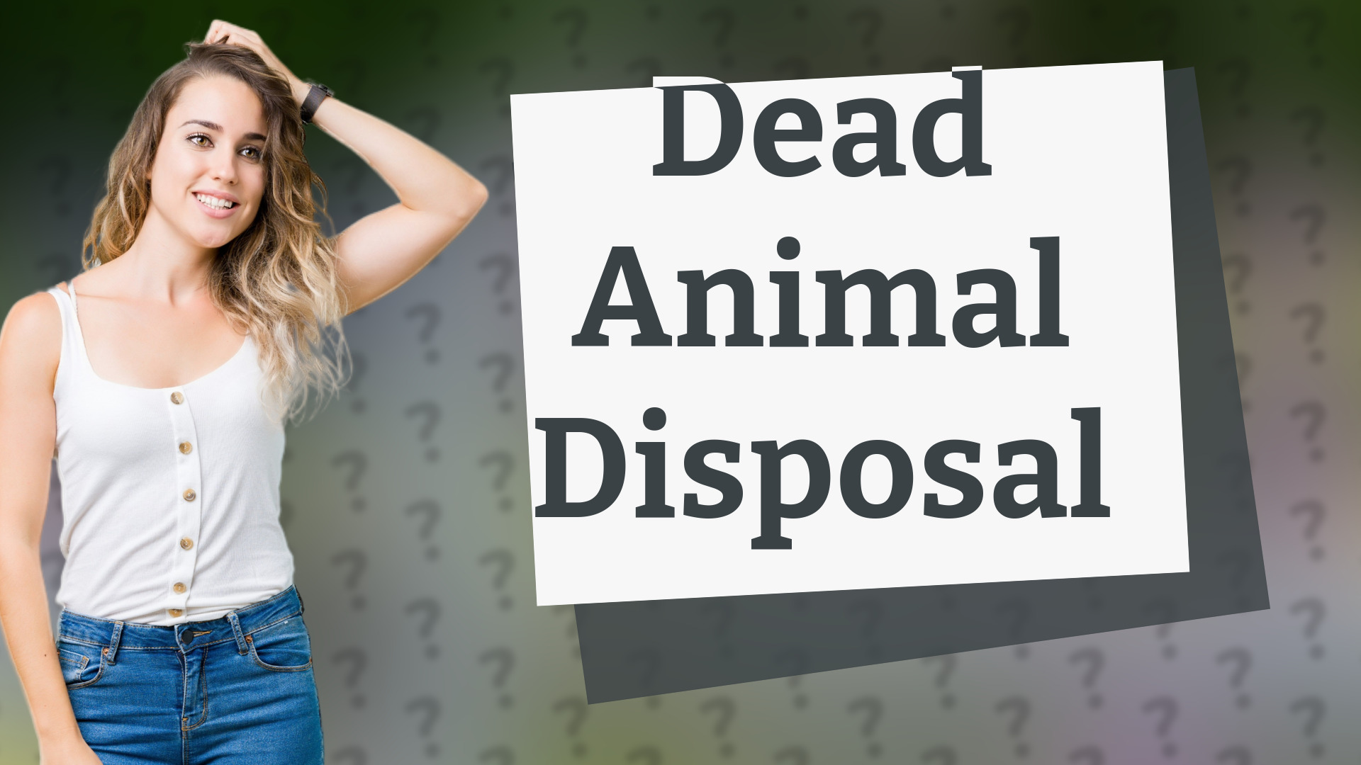 Dead Animal Disposal