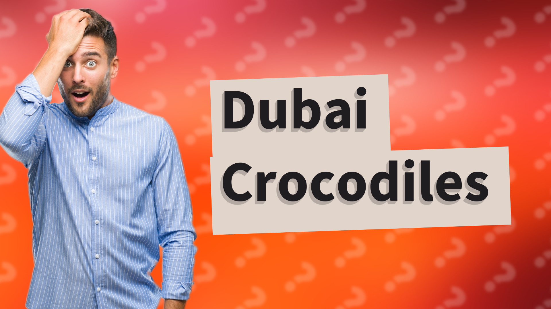 Dubai Crocodiles
