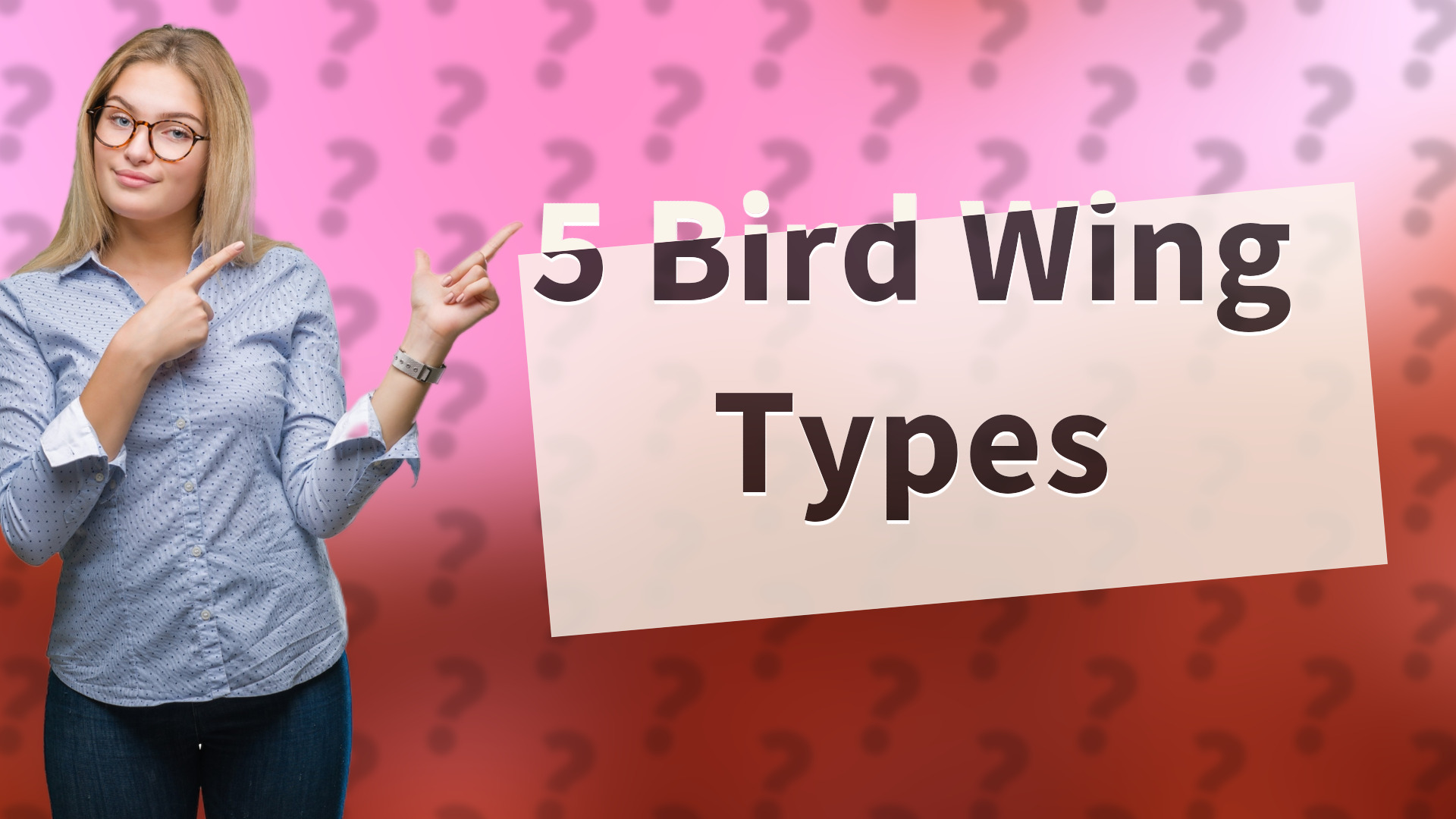5 Bird Wing Types