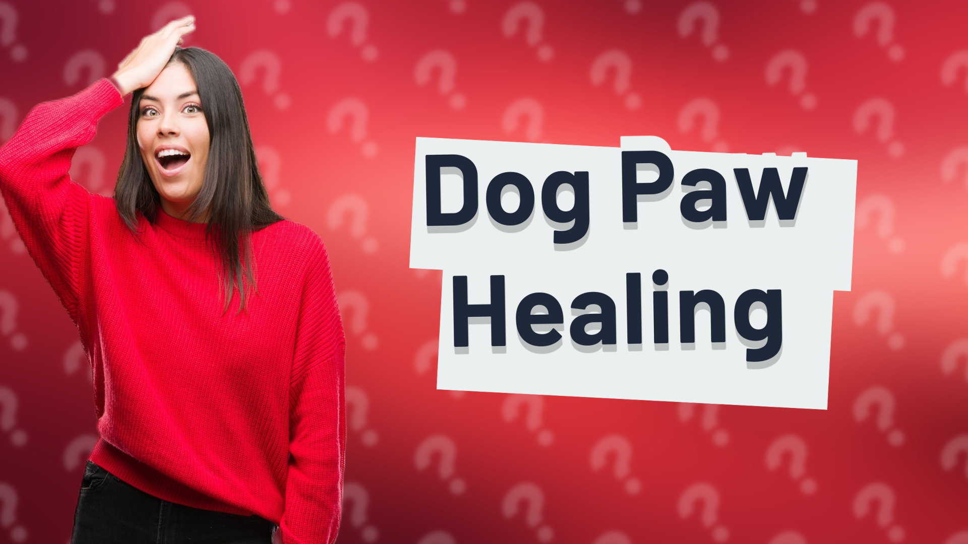 Dog Paw Healing