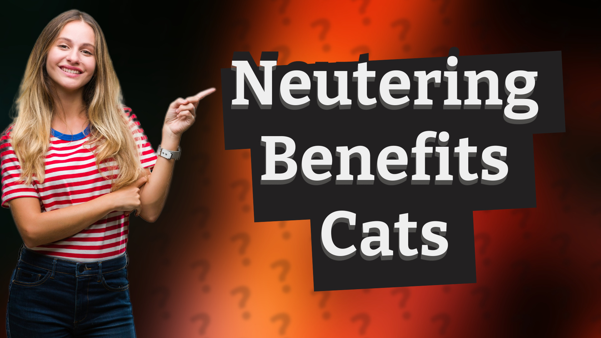 Neutering Benefits Cats