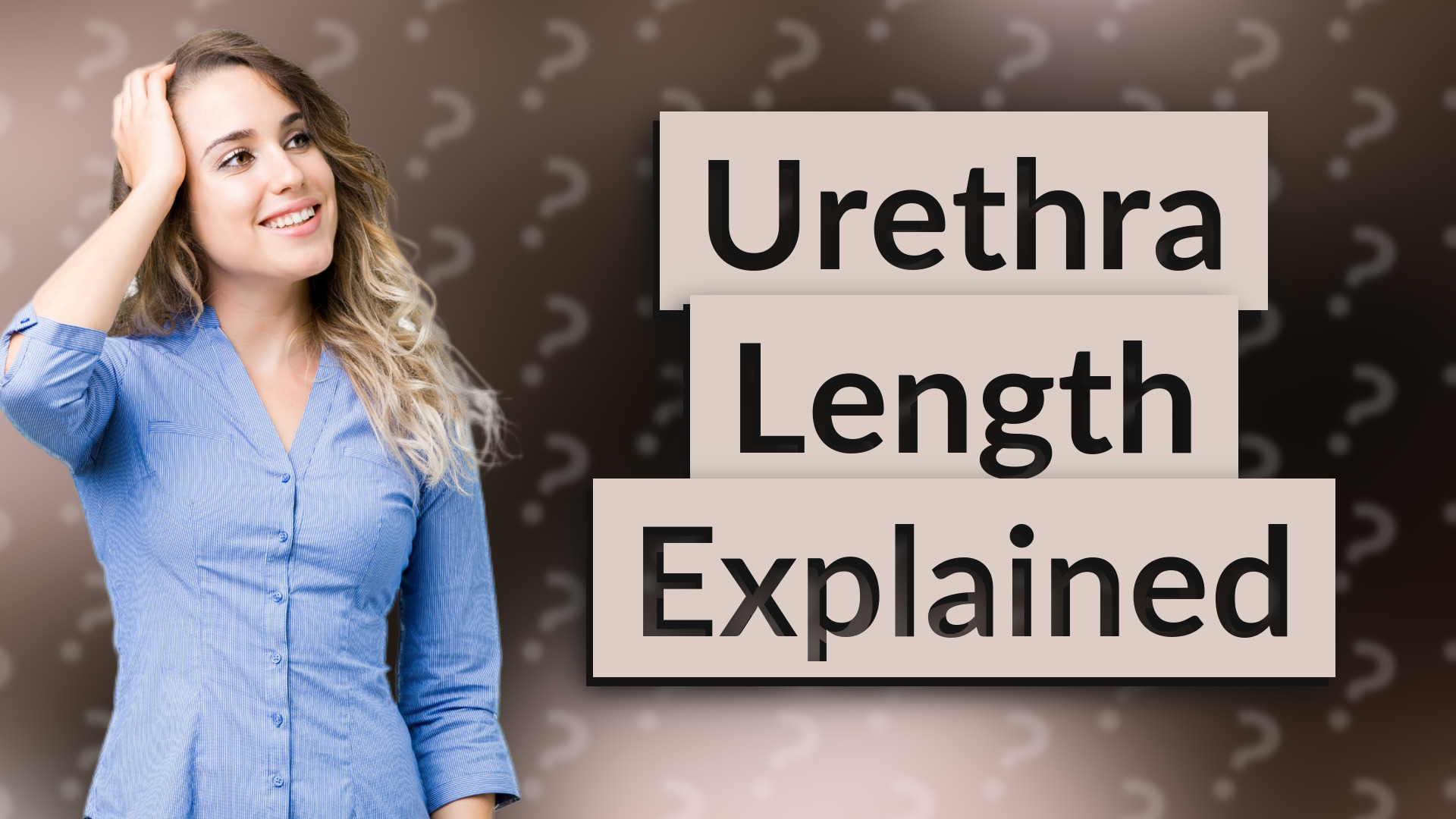 Urethra Length Explained