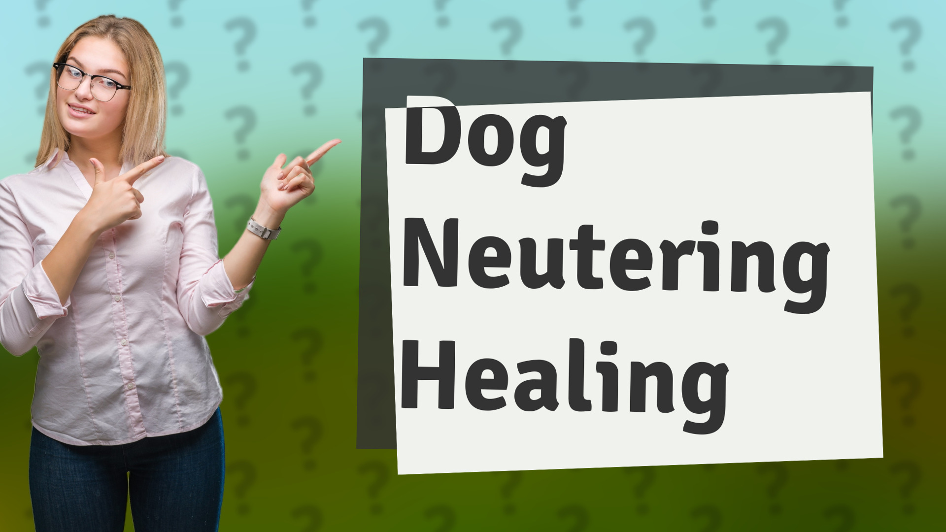 Dog Neutering Healing
