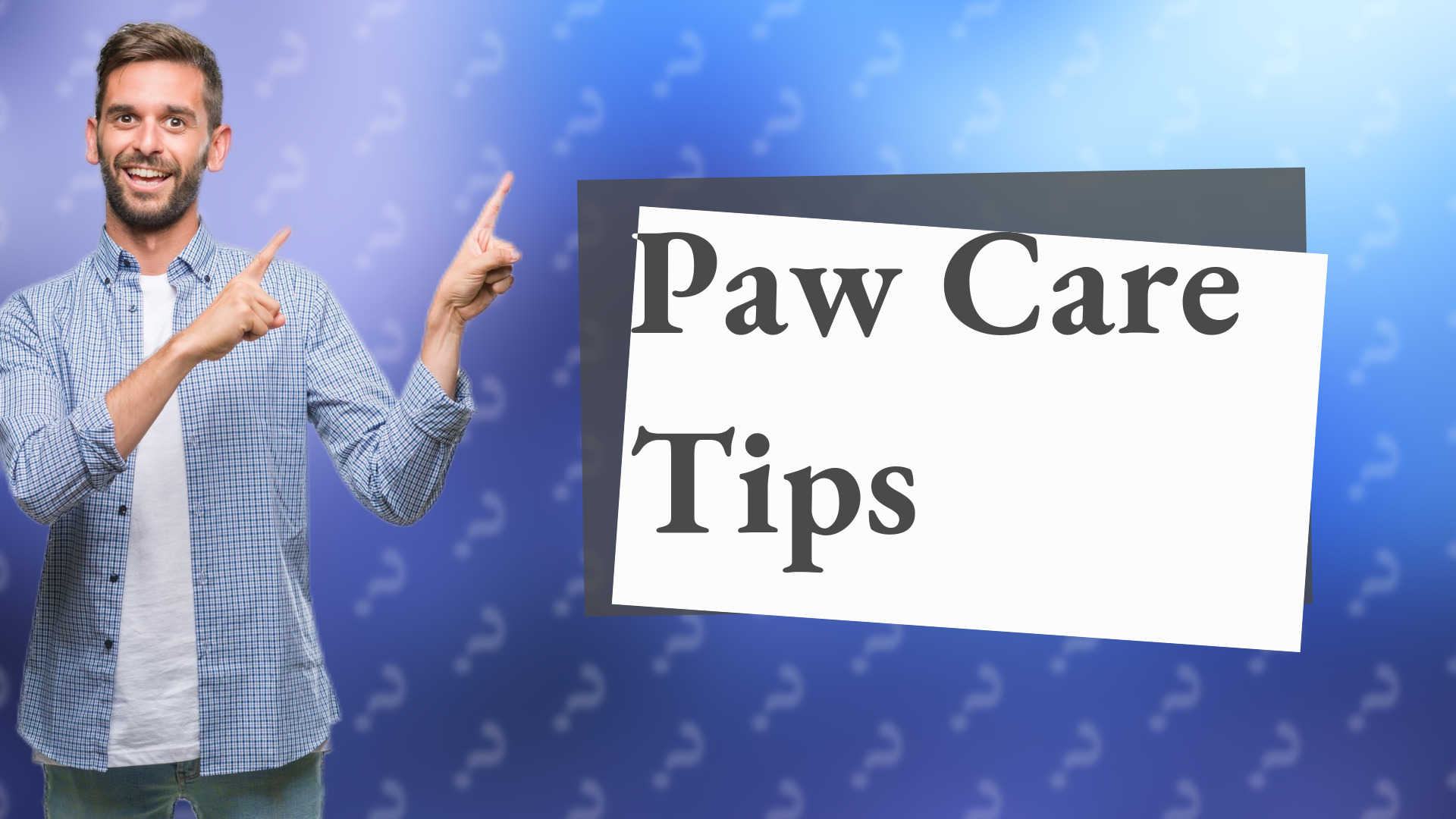 Paw Care Tips