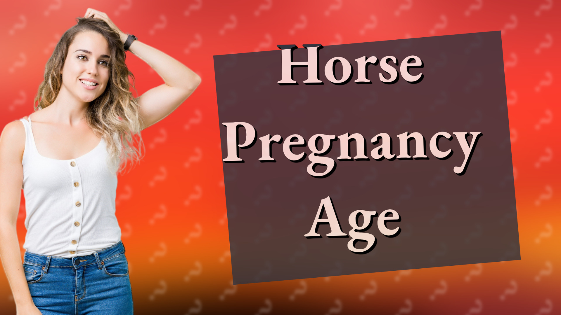 Horse Pregnancy Age