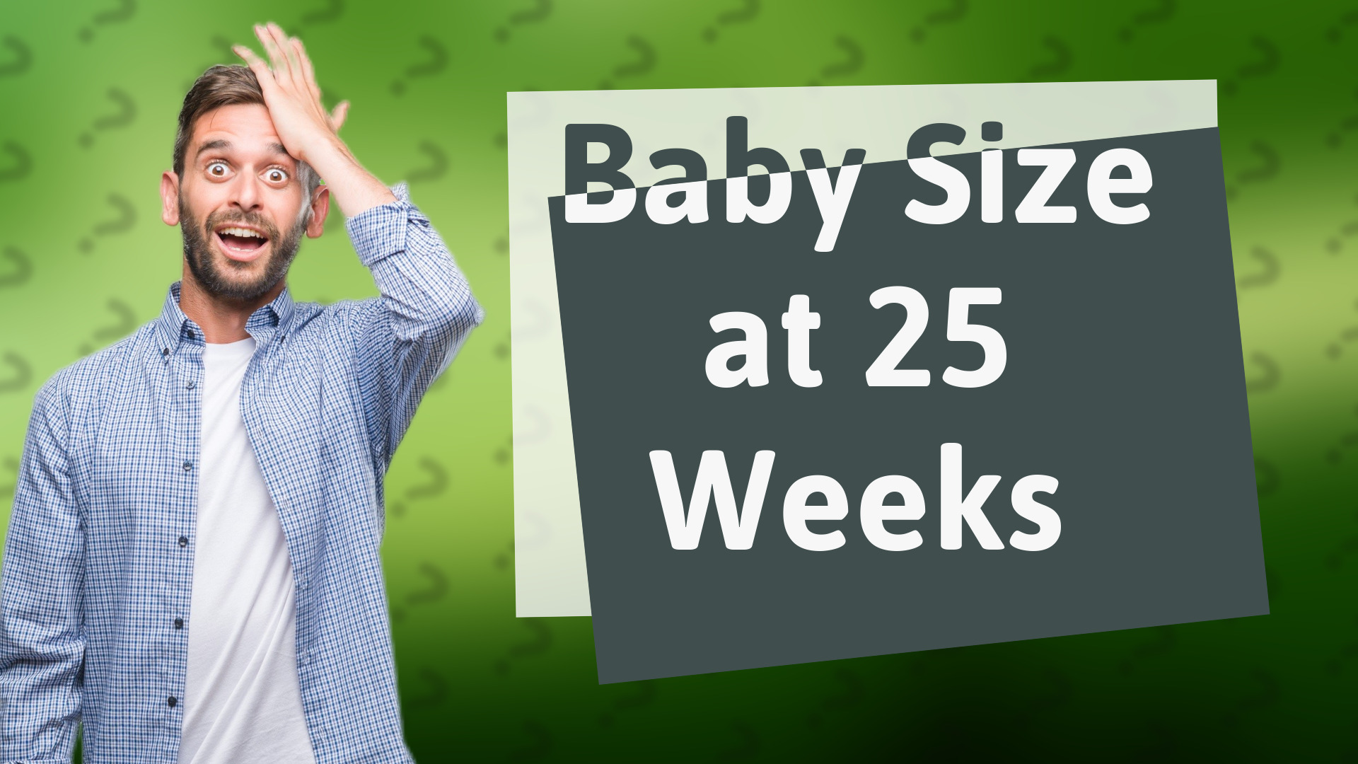 Baby Size at 25 Weeks