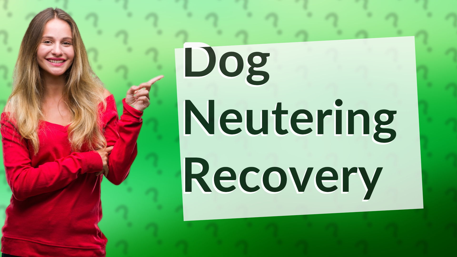 Dog Neutering Recovery