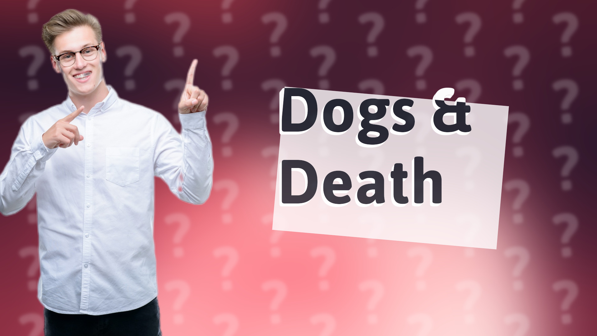 Dogs & Death